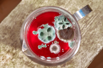 mold, fungus on the surface of the red fruit drink