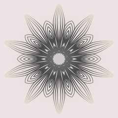 Modern Decorative Cicle Shapes. Floral Mandala. Vector Illustration. White grey color.