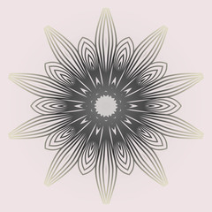 Modern Decorative Cicle Shapes. Floral Mandala. Vector Illustration. White grey color.