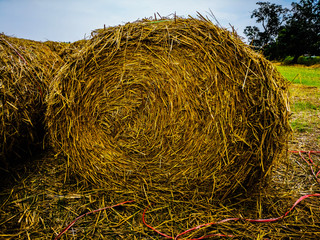 Bales of hay in the fields in summer time harvest is stunning 