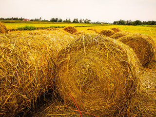 Bales of hay in the fields in summer time harvest is stunning 