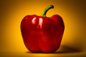 Rote Paprika, dramatisch beleuchtet auf gelbem Hintergrund