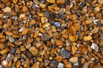 A close up of various coloured and size pebbles on a beach that have just been covered in water