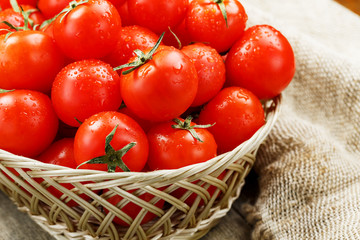 Small red tomatoes in a wicker basket on an old wooden table. Ripe and juicy cherry