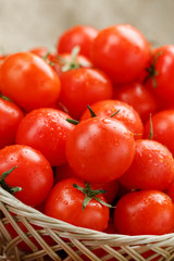 Small red tomatoes in a wicker basket on an old wooden table. Ripe and juicy cherry