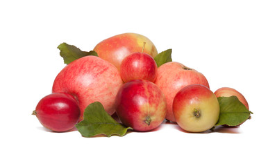 A group of large and Chinese apples of various sizes in the form of a pyramid. Pink garden apples and red chinese apples with green leaves isolated on white