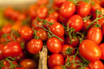 Fresh tomatoes of different varieties at the farmers market