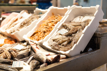 Fresh fishes in a market