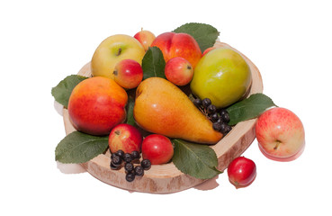 Yellow pear, red nectarines, green apples,red Chinese apples and clusters of black chokeberry in a frame of green leaves lie on a handmade wooden plate is made of cross-section.  Isolated on white