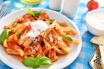 Italian style pasta with tomato sauce