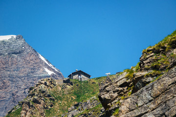 Chalet and white horse