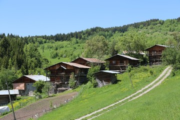 Obraz premium green village views. savsat/artvin/turkey