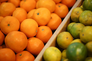 Close up view of orange fruits on the shelf in the supermarket.