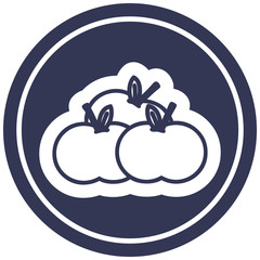 pile of apples circular icon