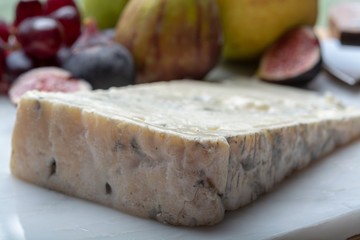 Gorgonzola dolce Italian blue cheese, made from unskimmed cow's milk in North of Italy