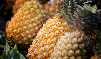 Pineapples for sale in the market.