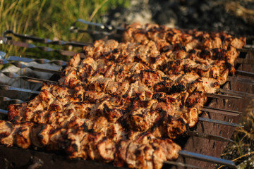 Shish kebab roasting on the grill. BBQ party. Close-up.