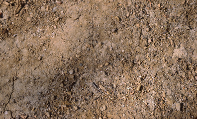 Ground as texture and background