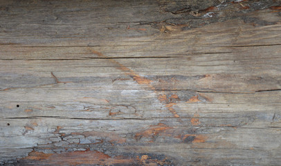 Wood texture with natural wood pattern for design and decoration 