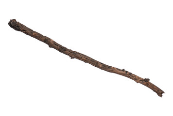 Single dry tree branch, isolated on white background. Stick tree branch from nature for design.