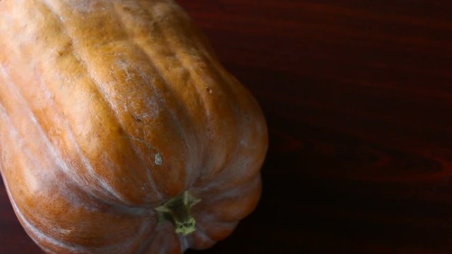 Ripe pumpkin. New harvest.