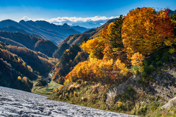  南相木ダムの紅葉