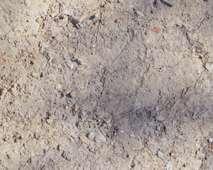 Ground as texture and background