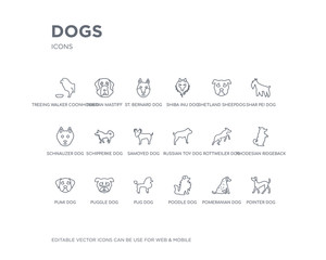 simple set of dogs vector line icons. contains such icons as pointer dog, pomeranian dog, poodle dog, pug puggle pumi rhodesian ridgeback rottweiler russian toy and more. editable pixel perfect.