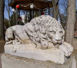 Stone lion in the park