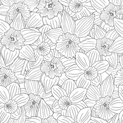Seamless pattern with flowers daffodils. Coloring page