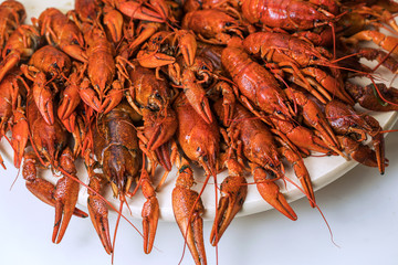 boiled crayfish on an iron plate.