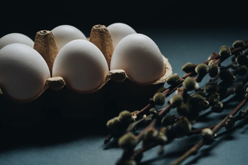 Easter holidays concept. Close up white easter eggs in carton box with willow branches isolated on...