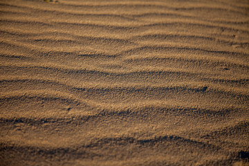 Fototapeta na wymiar Ondulaciones en la arena del desierto