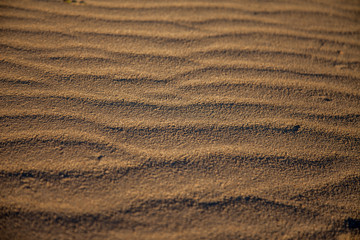 Ondulaciones en la arena del desierto