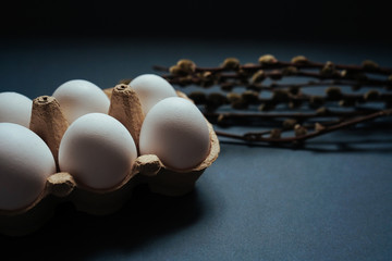 White easter eggs in carton box and willow branches isolated on black background. Easter holiday...