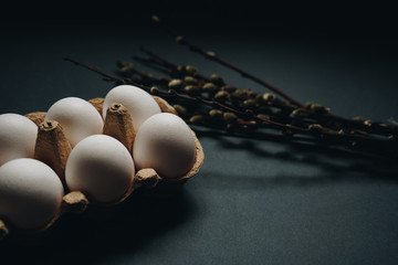 White easter eggs in carton box and willow branches isolated on black background. Easter holiday...