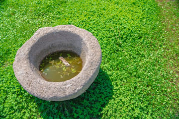 indoor in the garden hollow rock