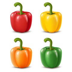 Colorful paprika peppers isolated on white. Vector illustration