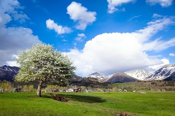 green village views. savsat/artvin/turkey