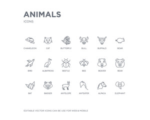 simple set of animals vector line icons. contains such icons as elephant, alpaca, anteater, antelope, badger, bat, bear, beaver, bee and more. editable pixel perfect.