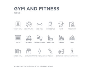 simple set of gym and fitness vector line icons. contains such icons as standing punching ball, stationary bike, steroids, stretching punching ball, supplement, swedish wall, swim, trainer, trainer