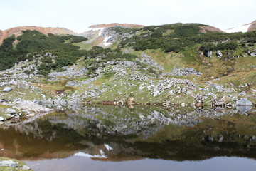 Navarino Island, Southern Patagonia Chile