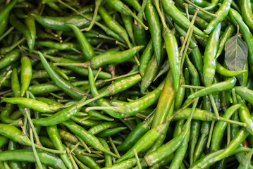 Pile of Fresh Organic Green Chilli at the Local Market