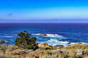 BIG SUR