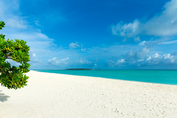  Maldives island with white sandy beach and sea