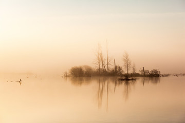 Dawn light with fog at a lake