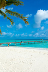  Maldives island with white sandy beach and sea