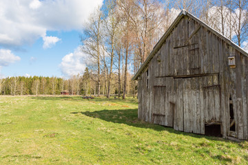 Old weathered shed in the meadow