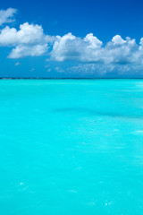 Obraz premium Maldives island with white sandy beach and sea