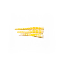 Overhead view of bamboo shoot on white background.